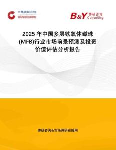 2025年中國(guó)多層鐵氧體磁珠(MFB)行業(yè)市場(chǎng)前景預(yù)測(cè)及投資價(jià)值評(píng)估分析報(bào)告