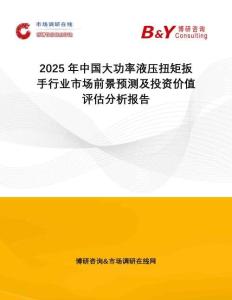 2025年中國(guó)大功率液壓扭矩扳手行業(yè)市場(chǎng)前景預(yù)測(cè)及投資價(jià)值評(píng)估分析報(bào)告