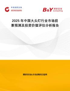 2025年中國大頭燈行業(yè)市場前景預測及投資價值評估分析報告