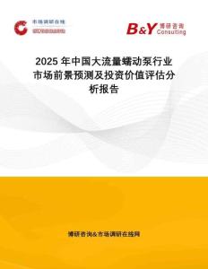 2025年中国大流量蠕动泵行业市场前景预测及投资价值评估分析报告