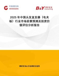 2025年中國頭發(fā)直發(fā)器（電夾板）行業(yè)市場前景預(yù)測及投資價值評估分析報告