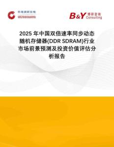 2025年中國(guó)雙倍速率同步動(dòng)態(tài)隨機(jī)存儲(chǔ)器(DDR SDRAM)行業(yè)市場(chǎng)前景預(yù)測(cè)及投資價(jià)值評(píng)估分析報(bào)告