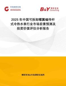 2025年中國可拆卸螺翼磁傳桿式冷熱水表行業市場前景預測及投資價值評估分析報告