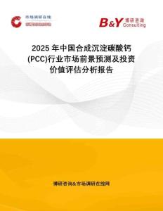 2025年中國合成沉淀碳酸鈣 (PCC)行業(yè)市場前景預(yù)測及投資價值評估分析報告