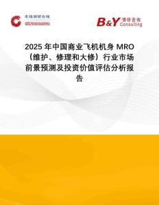 2025年中國商業飛機機身MRO（維護、修理和大修）行業市場前景預測及投資價值評估分析報告