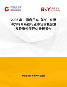 2025年中國商用車（CV）有源動力轉(zhuǎn)向系統(tǒng)行業(yè)市場前景預(yù)測及投資價值評估分析報告