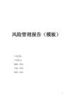 風(fēng)險管理報告（模板）