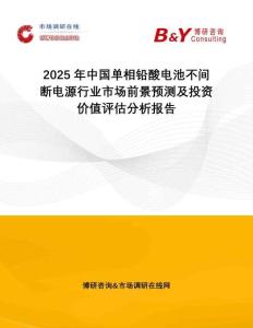 2025年中國單相鉛酸電池不間斷電源行業(yè)市場前景預(yù)測及投資價(jià)值評估分析報(bào)告
