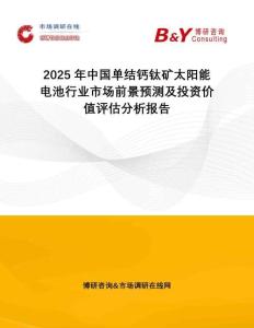 2025年中國單結(jié)鈣鈦礦太陽能電池行業(yè)市場前景預(yù)測及投資價(jià)值評估分析報(bào)告