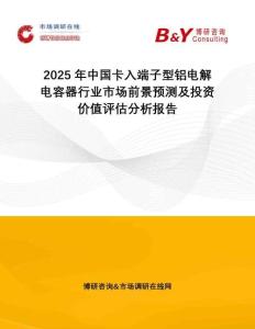 2025年中國(guó)卡入端子型鋁電解電容器行業(yè)市場(chǎng)前景預(yù)測(cè)及投資價(jià)值評(píng)估分析報(bào)告