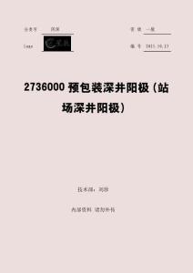 2736000預(yù)包裝深井陽極（站場深井陽極）
