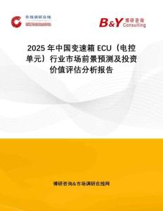 2025年中國變速箱ECU（電控單元）行業市場前景預測及投資價值評估分析報告
