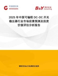 2025年中國可編程DC-DC開關穩(wěn)壓器行業(yè)市場前景預測及投資價值評估分析報告