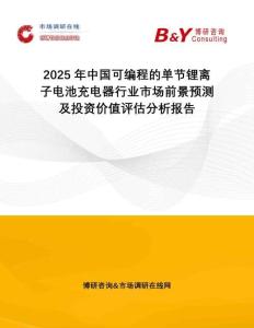 2025年中國可編程的單節鋰離子電池充電器行業市場前景預測及投資價值評估分析報告