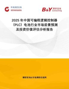2025年中國可編程邏輯控制器（PLC）電池行業(yè)市場前景預測及投資價值評估分析報告