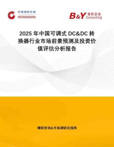 2025年中國可調(diào)式DC&DC轉(zhuǎn)換器行業(yè)市場前景預(yù)測及投資價值評估分析報告
