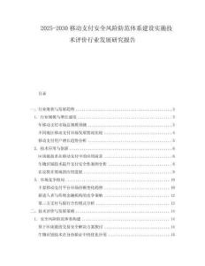 2025-2030移動(dòng)支付安全風(fēng)險(xiǎn)防范體系建設(shè)實(shí)施技術(shù)評(píng)價(jià)行業(yè)發(fā)展研究報(bào)告