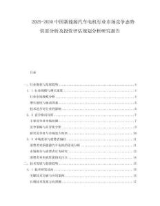 2025-2030中國新能源汽車電機(jī)行業(yè)市場競爭態(tài)勢供需分析及投資評(píng)估規(guī)劃分析研究報(bào)告