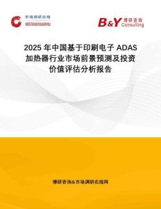 2025年中國基于印刷電子ADAS加熱器行業市場前景預測及投資價值評估分析報告