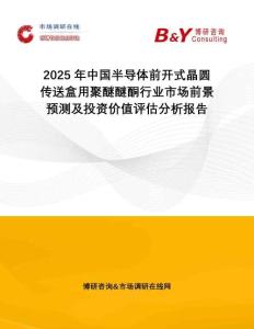 2025年中國半導體前開式晶圓傳送盒用聚醚醚酮行業市場前景預測及投資價值評估分析報告
