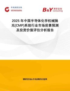 2025年中國半導體化學機械拋光(CMP)系統(tǒng)行業(yè)市場前景預測及投資價值評估分析報告
