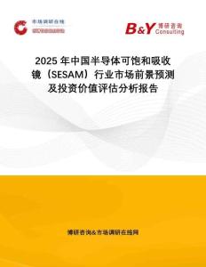 2025年中國半導體可飽和吸收鏡（SESAM）行業(yè)市場前景預測及投資價值評估分析報告