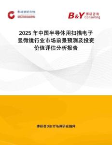 2025年中國半導體用掃描電子顯微鏡行業(yè)市場前景預測及投資價值評估分析報告