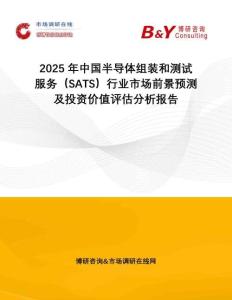 2025年中國半導體組裝和測試服務（SATS）行業市場前景預測及投資價值評估分析報告