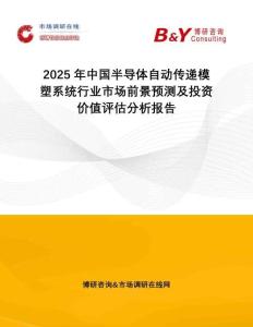 2025年中國半導體自動傳遞模塑系統(tǒng)行業(yè)市場前景預測及投資價值評估分析報告