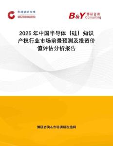 2025年中國半導體（硅）知識產權行業市場前景預測及投資價值評估分析報告