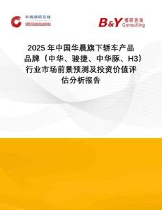 2025年中國華晨旗下轎車產(chǎn)品品牌（中華、駿捷、中華豚、H3）行業(yè)市場前景預(yù)測及投資價值評估分析報告
