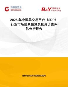 2025年中國(guó)單交易平臺(tái)（SDP）行業(yè)市場(chǎng)前景預(yù)測(cè)及投資價(jià)值評(píng)估分析報(bào)告