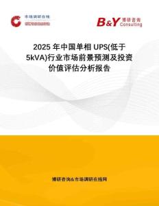 2025年中國單相UPS(低于5kVA)行業(yè)市場前景預測及投資價值評估分析報告