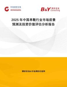 2025年中國單靴行業(yè)市場前景預(yù)測及投資價值評估分析報告