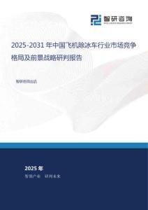 2025-2031年中國飛機(jī)除冰車行業(yè)市場競爭格局及前景戰(zhàn)略研判報(bào)告