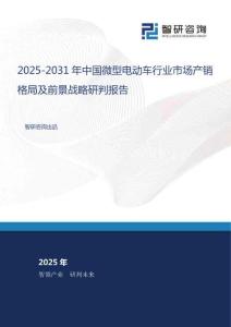 2025-2031年中國微型電動車行業(yè)市場產(chǎn)銷格局及前景戰(zhàn)略研判報告