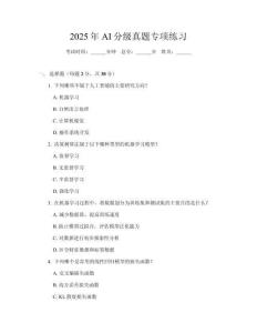 2025年AI分級真題專項練習