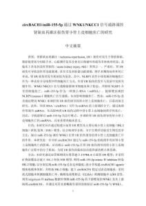 circBACH1_miR-155-5p通過(guò)WNK1_NKCC1信號(hào)通路調(diào)控腎缺血再灌注損傷腎小管上