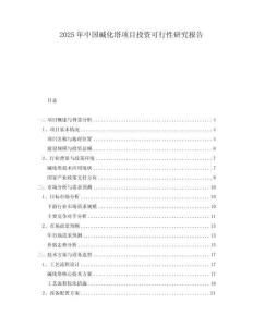 2025年中國堿化塔項目投資可行性研究報告