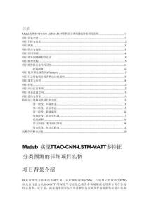 Matlab實現TTAO-CNN-LSTM-MATT多特征分類預測的詳細項目實例（含完整的程序，GUI設計和代碼詳解）