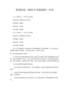 咨詢協(xié)議（2025年市場策略）合同