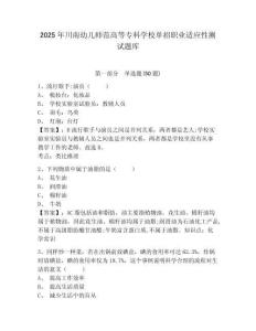 2025年川南幼兒師范高等專科學(xué)校單招職業(yè)適應(yīng)性測試題庫及一套完整答案詳解