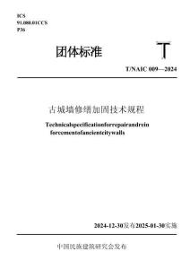 T∕NAIC 009-2024 古城墻修繕加固技術(shù)規(guī)程