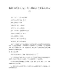 數(shù)據(jù)分析協(xié)議2025年大數(shù)據(jù)處理服務(wù)合同合同