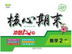 《核心期末》2年級上冊數(shù)學（BS版）