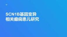 SCN1B基因變異相關(guān)癲癇患兒研究