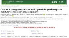 304讀書報告20200507