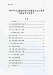 2026年冰上曲棍球靴行業(yè)發(fā)展現(xiàn)狀及未來趨勢(shì)研究分析報(bào)告