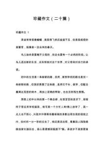 珍藏作文（二十篇）