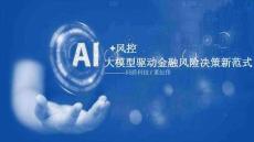 2025年AI+風(fēng)控-大模型驅(qū)動金融風(fēng)險(xiǎn)決策新范式報(bào)告